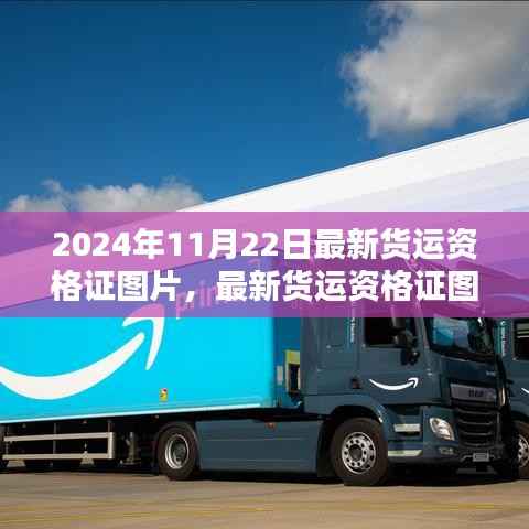 2024年11月22日最新货运资格证图片,最新货运资格证图片获取全攻略,2024年11月22日步骤指南