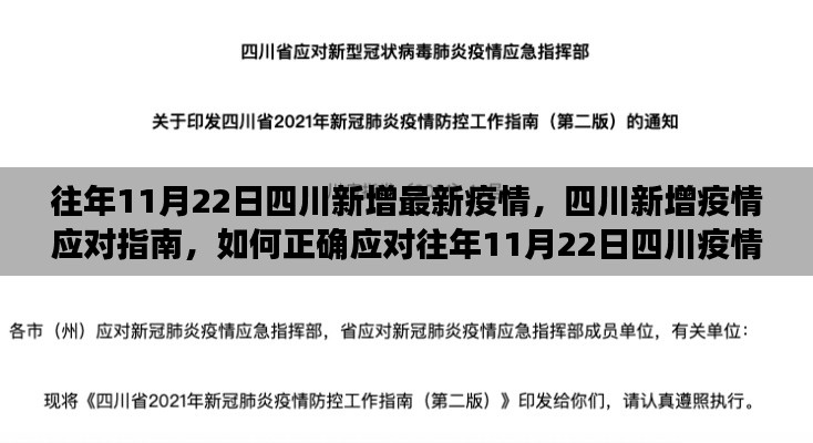 四川新增疫情应对指南,如何应对往年11月22日的四川疫情挑战