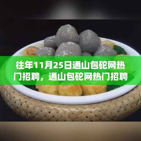 通山包砣网招聘热潮揭秘，智能招聘与高科技产品的融合之旅