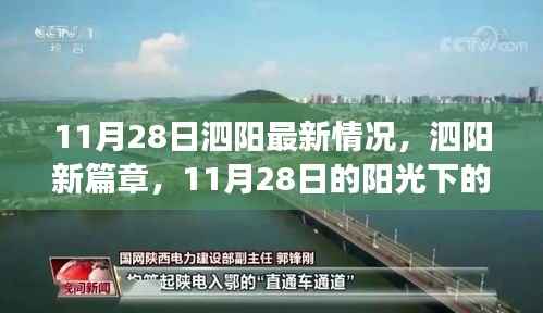 泗阳新篇章,阳光下的励志故事与自信铸就的成就(11月28日最新情况)
