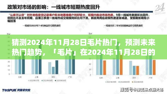 2024年11月28日毛片热门趋势预测及深度评测,展望美好未来