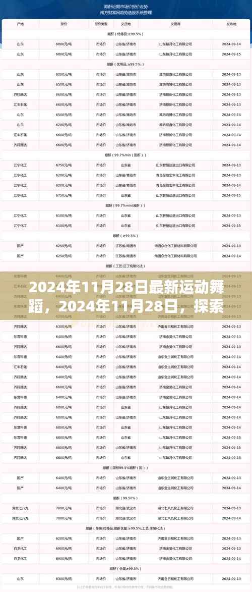 最新运动舞蹈潮流探索，动感舞步的魅力，2024年11月28日