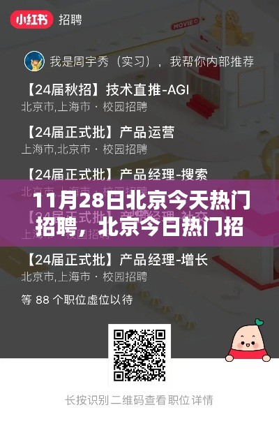 北京今日热门招聘大盘点,超火热职位挑战与小红书求职攻略热议