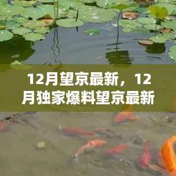 容光焕发 第2页