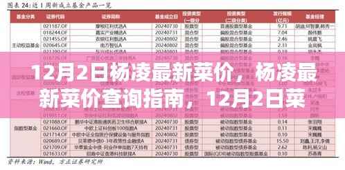 12月2日杨凌菜价大全,最新菜价查询指南,掌握买菜最佳时机