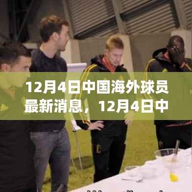 中国海外球员最新动态及瞩目亮点,球场动态更新与亮点聚焦(12月4日)