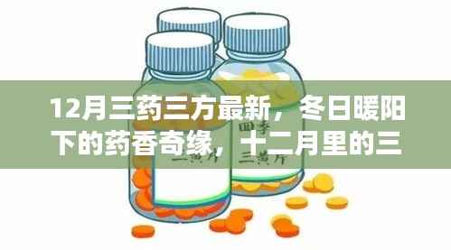 12月三药三方最新,冬日暖阳下的药香奇缘,十二月里的三药三方与暖心故事