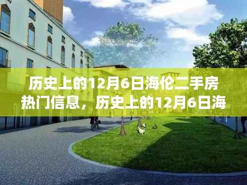 历史上的12月6日海伦二手房热门信息,历史上的12月6日海伦二手房市场动态,深度解读热门信息