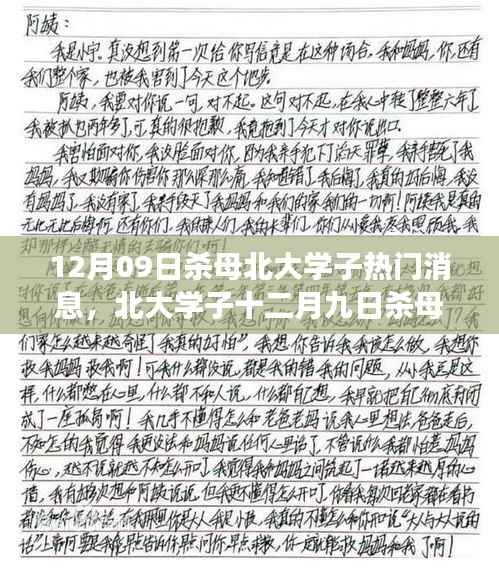 北大学子杀母事件,深度解析与反思