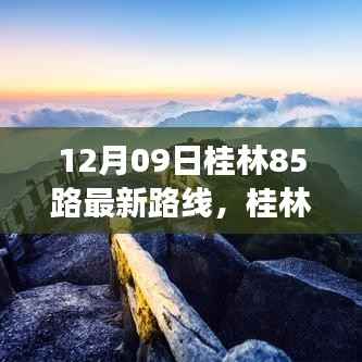 桂林公交85路最新路线解析(截至12月09日更新)