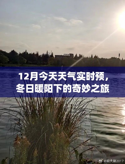 冬日暖阳下的奇妙之旅,实时天气预报与内心的宁静探寻