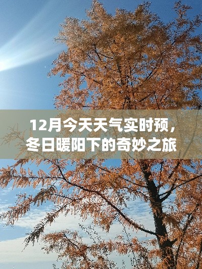 冬日暖阳下的奇妙之旅,实时天气预报与内心的宁静探寻