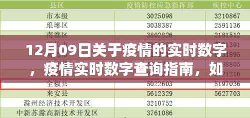 12月09日疫情实时数字指南,轻松掌握最新动态与查询方法