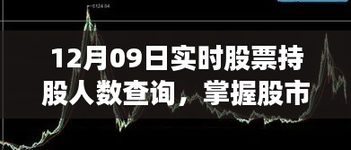 掌握股市脉搏,实时股票持股人数查询助你开启财富之旅