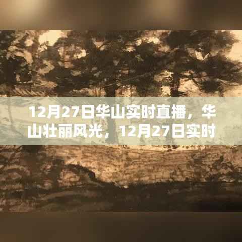 12月27日华山实时直播全景解析,壮丽风光一览无余