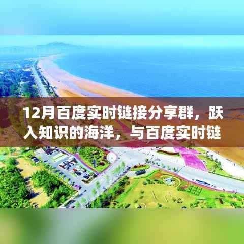 12月百度实时链接分享群,跃入知识海洋,共创未来自信之路