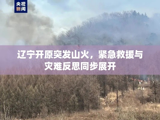 辽宁开原突发山火,紧急救援与灾难反思同步展开