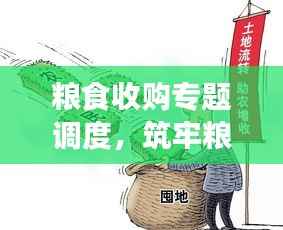 粮食收购专题调度,筑牢粮食安全防线的重要一环