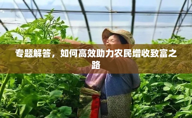 打马虎眼 第3页