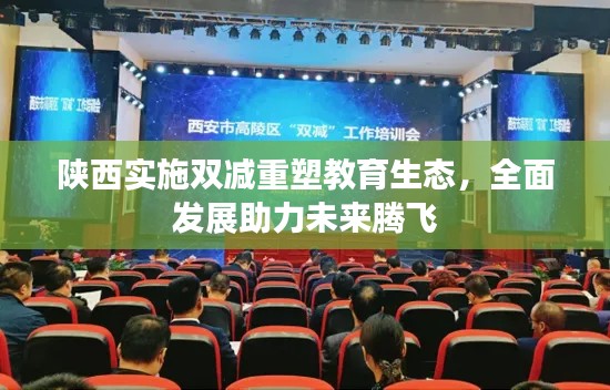 陕西实施双减重塑教育生态,全面发展助力未来腾飞