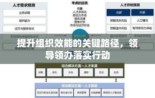提升组织效能的关键路径,领导领办落实行动