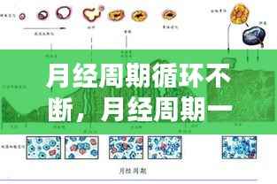 营销网络 第174页