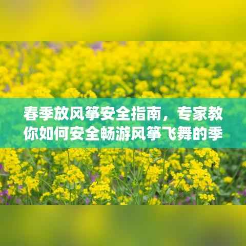 春季放风筝安全指南,专家教你如何安全畅游风筝飞舞的季节