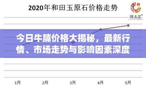 今日牛腩价格大揭秘,最新行情、市场走势与影响因素深度解析