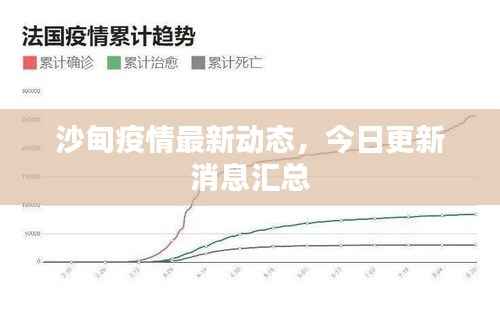 沙甸疫情最新动态,今日更新消息汇总