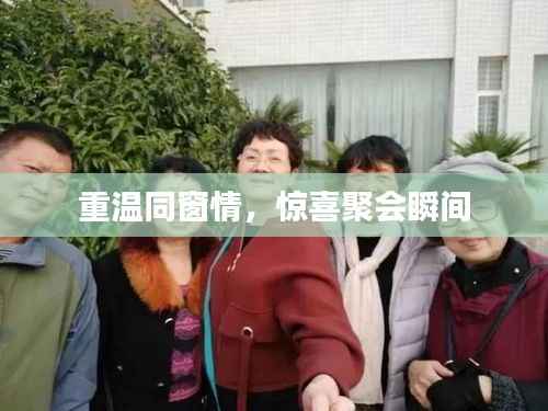 重温同窗情,惊喜聚会瞬间