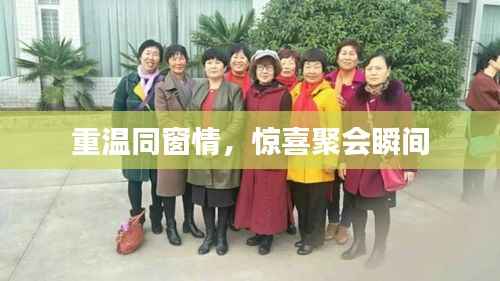 重温同窗情,惊喜聚会瞬间