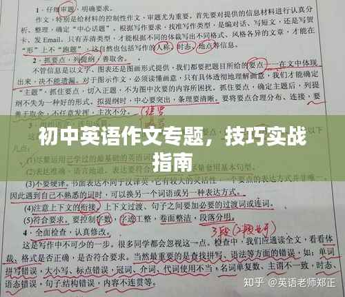 营销网络 第155页