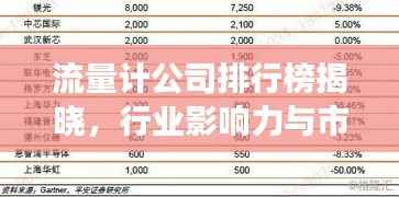 流量计公司排行榜揭晓,行业影响力与市场份额一览