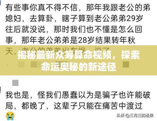 鸟入樊笼 第2页