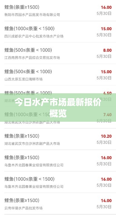 今日水产市场最新报价概览