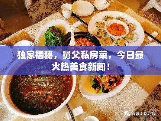 独家揭秘,舅父私房菜,今日最火热美食新闻!