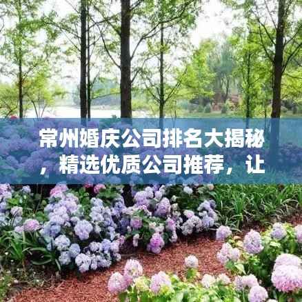 常州婚庆公司排名大揭秘,精选优质公司推荐,让你的婚礼更加完美!