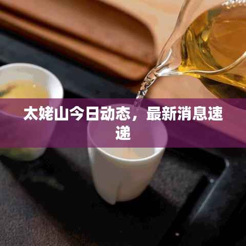 营销网络 第113页