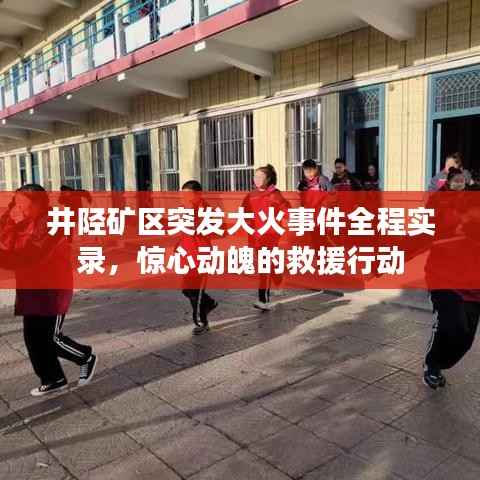 布被瓦器 第2页