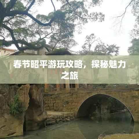 漫天飞舞 第2页