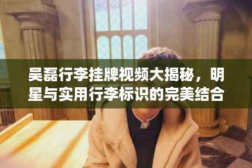 吴磊行李挂牌视频大揭秘,明星与实用行李标识的完美结合最新盘点