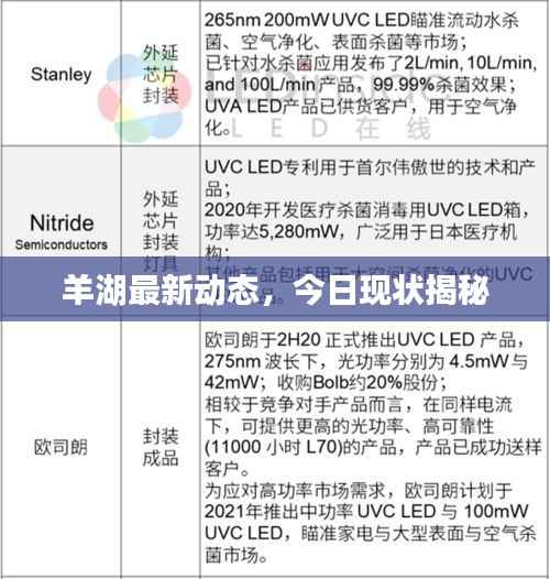 羊湖最新动态,今日现状揭秘