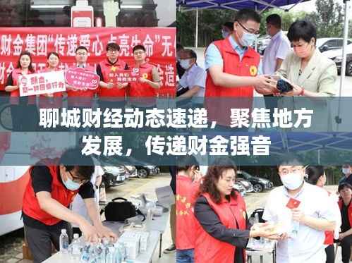 聊城财经动态速递,聚焦地方发展,传递财金强音