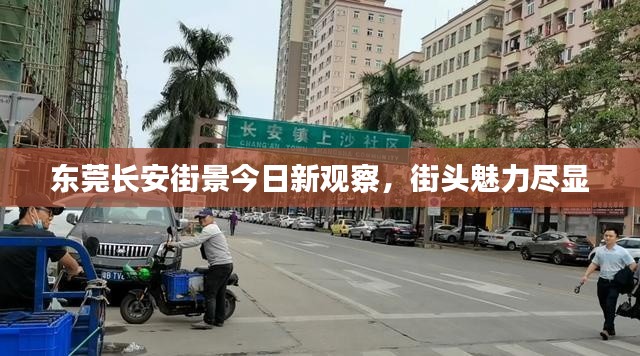 东莞长安街景今日新观察，街头魅力尽显