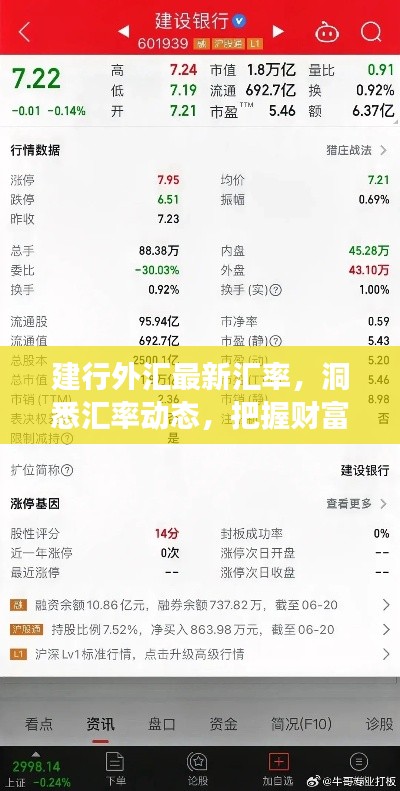建行外汇最新汇率,洞悉汇率动态,把握财富脉搏