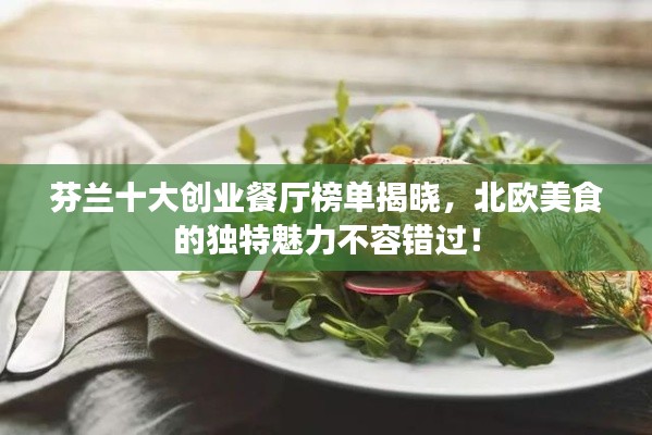 芬兰十大创业餐厅榜单揭晓,北欧美食的独特魅力不容错过!