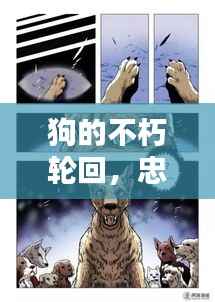 狗的不朽轮回,忠诚与感动的电影传奇